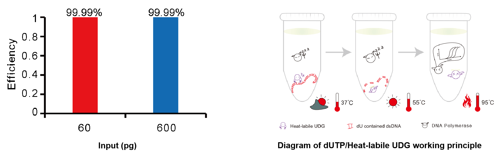 SupRealQ Ultra Hunter SYBR qPCR Master Mix (U+)