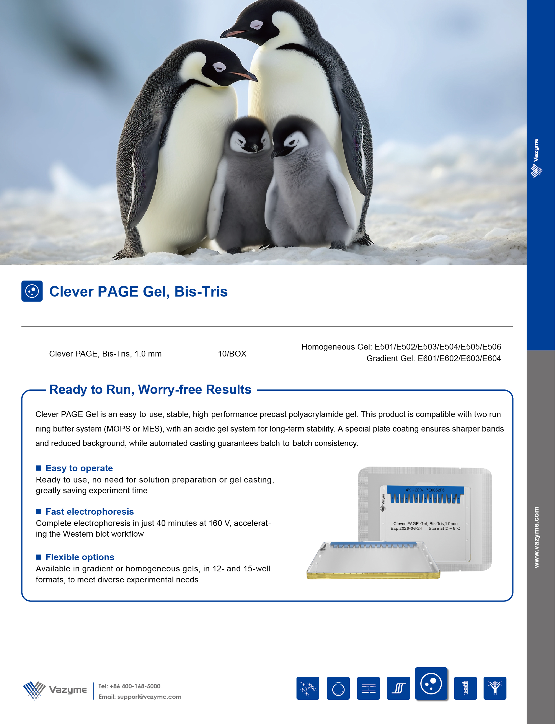 Flyer_Precast gel.pdf