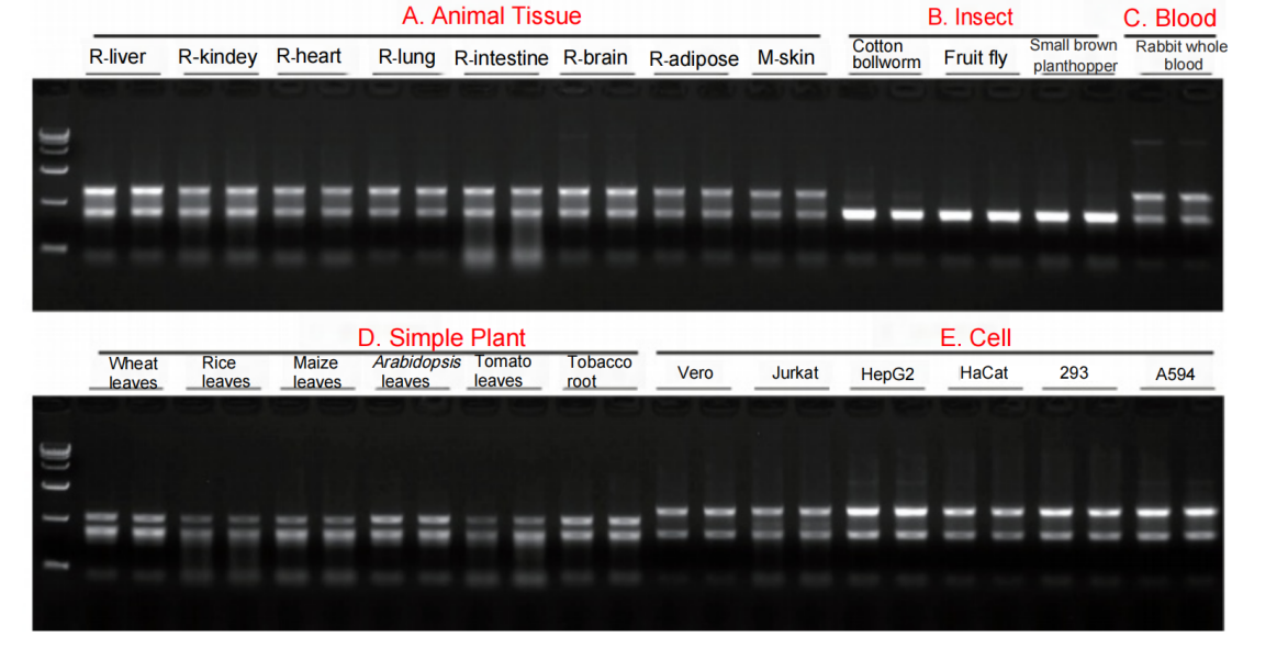 VeZol-Pure Total RNA lsolation Kit