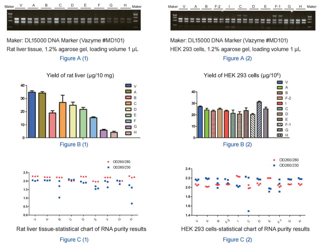 FastPure Cell/Tissue Total RNA Isolation Kit V2