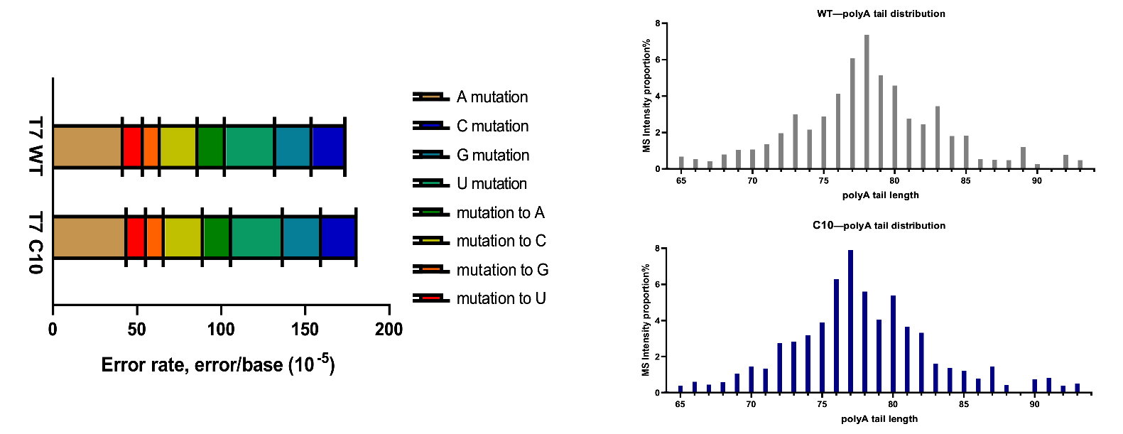 T7 CapMax RNA Polymerase (200 U/&mu;l, GMP Grade) 