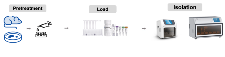 VAMNE Magnetic Cell/Tissue Total RNA Kit (Prepackaged)