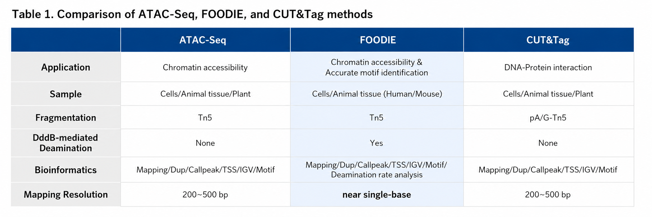 From ATAC to FOODIE: Transcription Factor Research Enters the Era of Cooperative Decoding