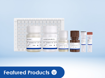 T7 RNAP Assay