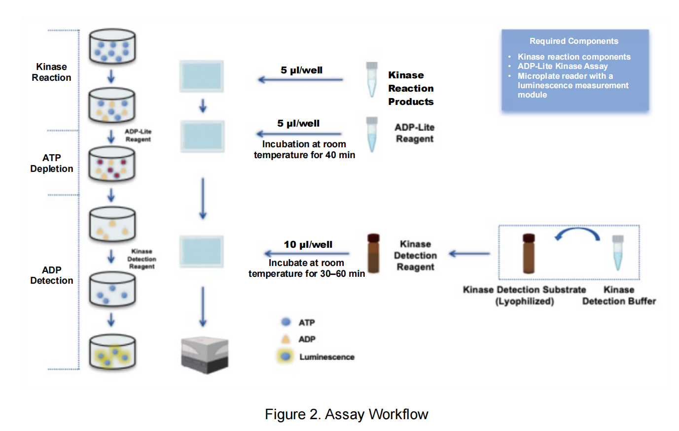 ADP-Lite Kinase Assay