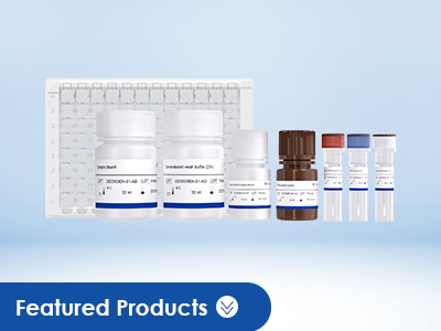 dsRNA Assay