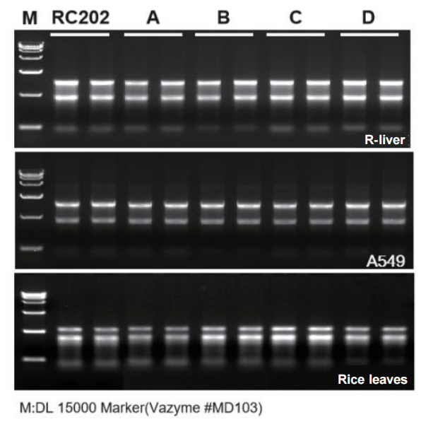 VeZol-Pure Total RNA lsolation Kit